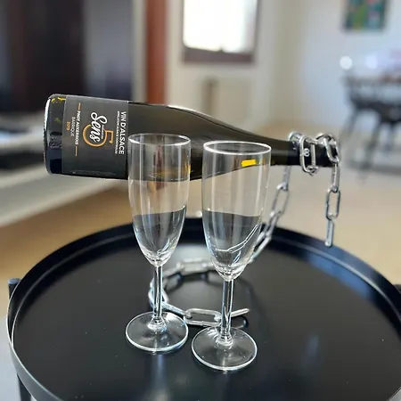 La Terrasse Des Vignes - 3 Etoiles Centre Alsace - Entier 펜션