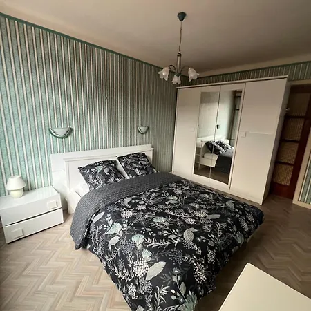 La Terrasse Des Vignes - 3 Etoiles Centre Alsace - Entier *