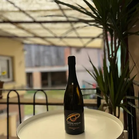 Ferienhaus La Terasse Des Vignes - Maison 2 - 4 Personnes Blienschwiller
