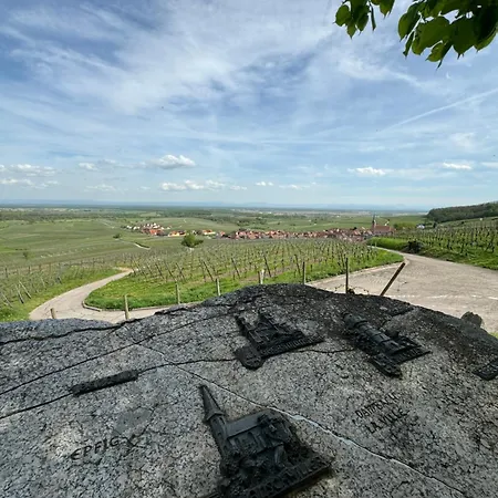 La Terrasse Des Vignes - 3 Etoiles Centre Alsace - Entier * Blienschwiller