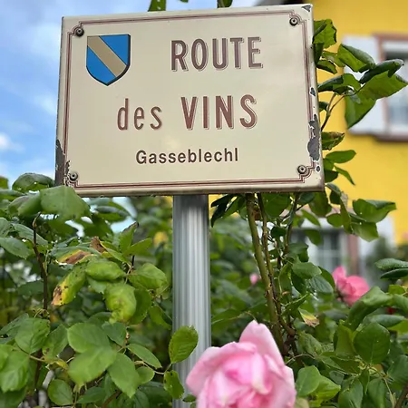 La Terrasse Des Vignes - 3 Etoiles Centre Alsace - Entier Blienschwiller