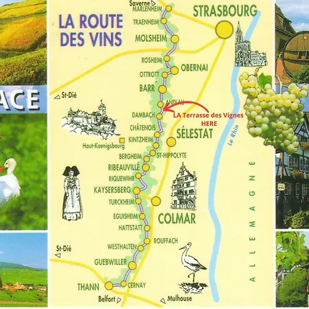 La Terrasse Des Vignes - 3 Etoiles Centre Alsace - Entier